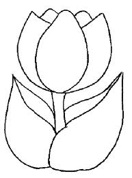 Tulip 1